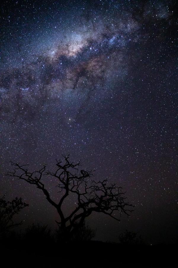 Nedile Lodge Welgevonden Game Reserve Exterior foto