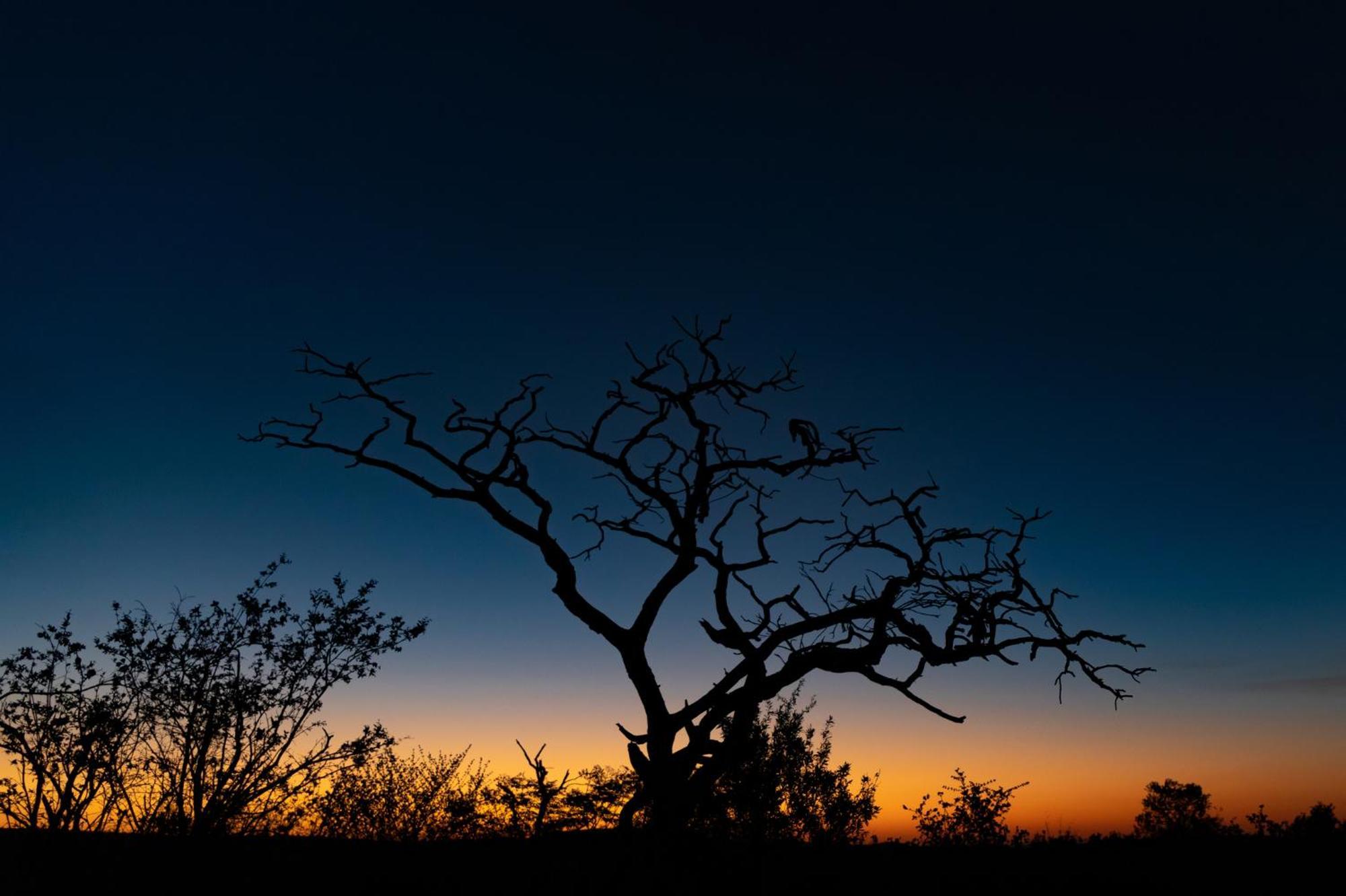 Nedile Lodge Welgevonden Game Reserve Exterior foto